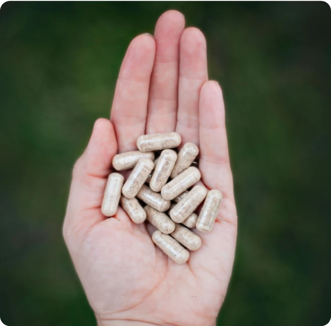 beef-liver-capsules-1.webp